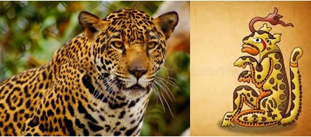 Felino Tropical Maya